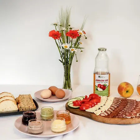 Apartmaji Kunej Pod Gradom With Sauna * Podsreda